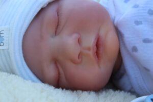 wendy-nurserie-chouchou